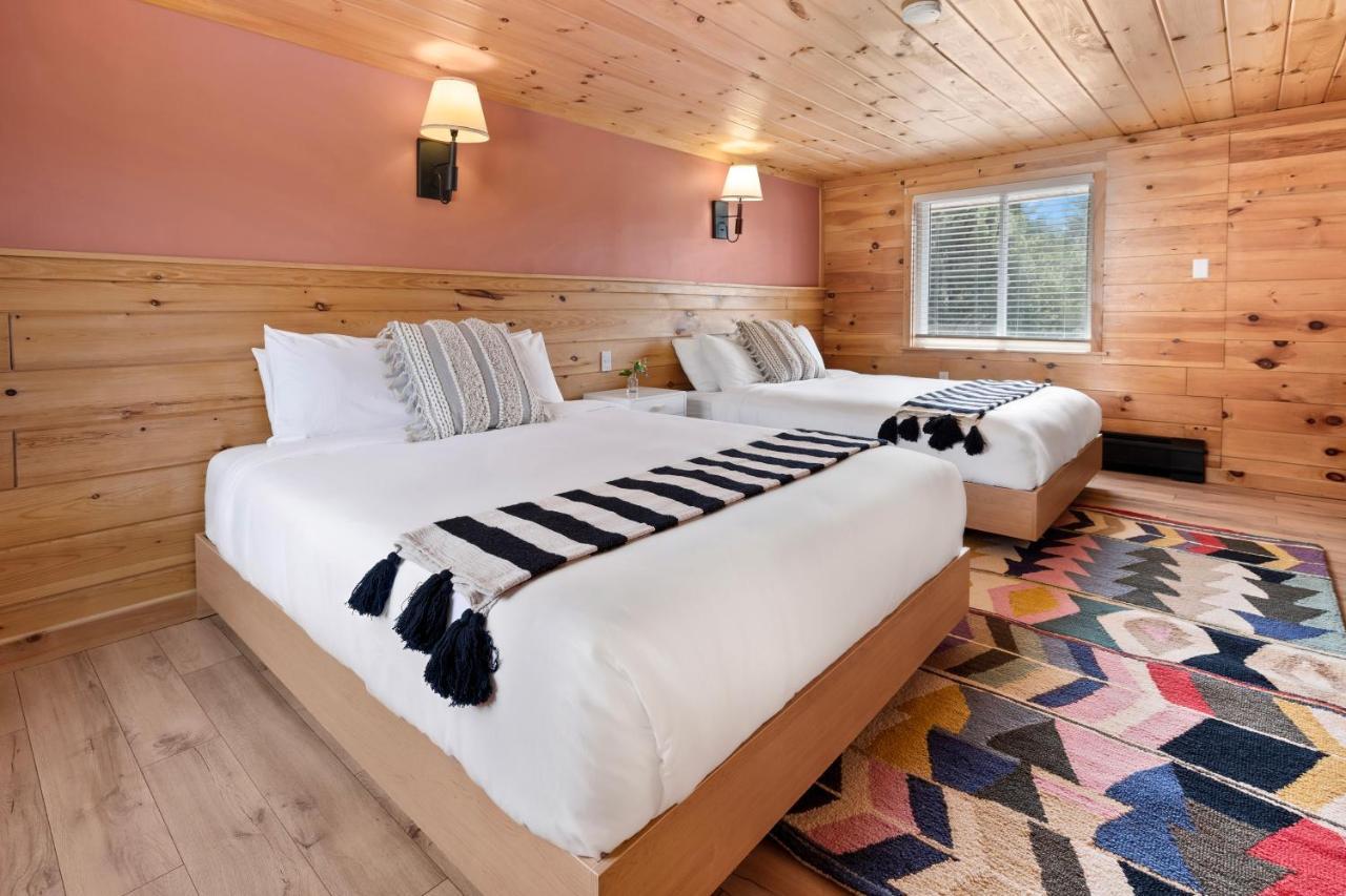 Wolfjaw Lodge Wilmington Eksteriør bilde